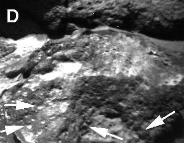 NASA image: Sojourner Rover View of Sockets and Pebbles