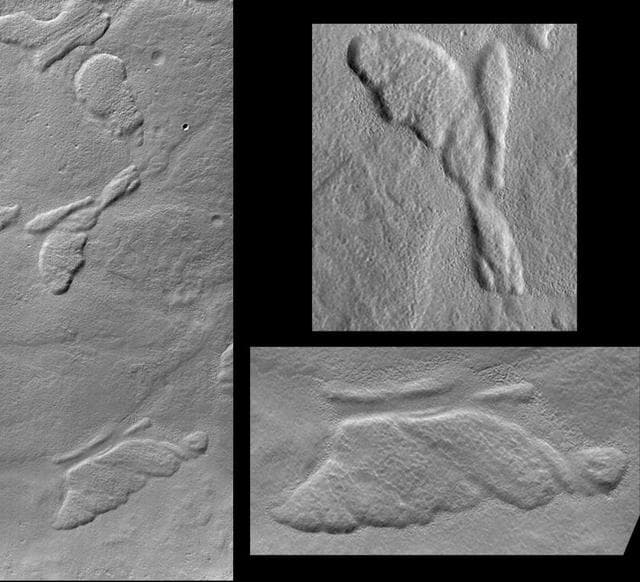 NASA image: Hot Dog and Butterfly, Nereidum Montes