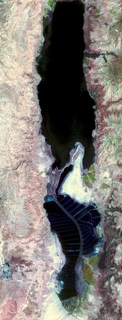 The Dead Sea