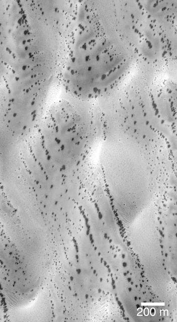 NASA image: Defrosting Polar Dunes -- "The Snow Leopard"