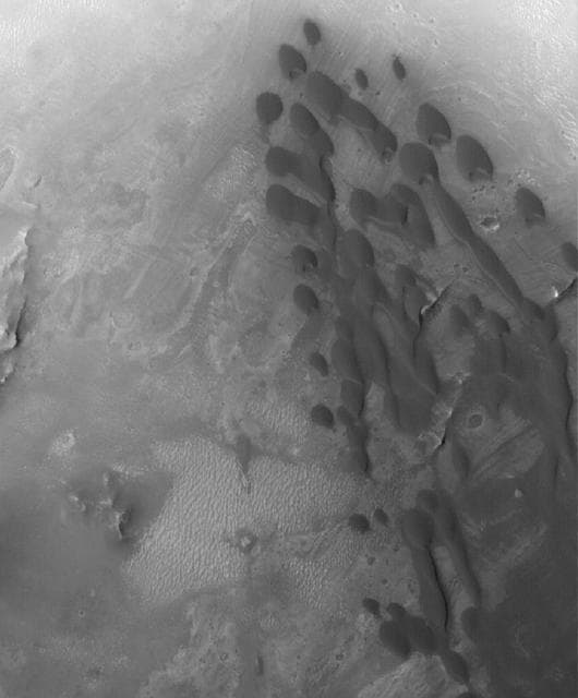 NASA image: Arabian Dunes