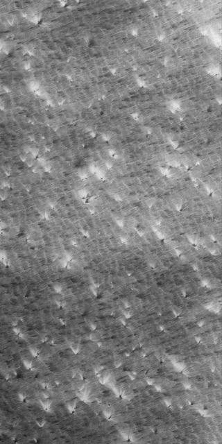NASA image: Defrosting Patterns