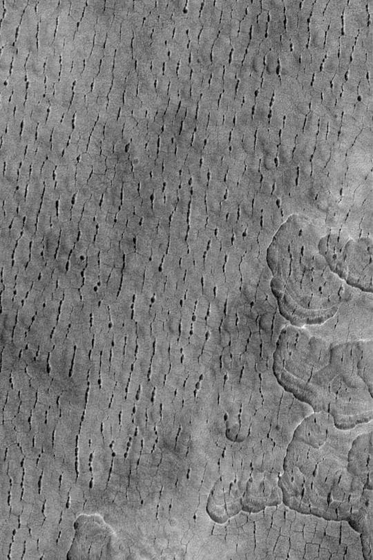 NASA image: Utopia Cracks and Polygons
