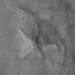 NASA image: The Cydonia 'D&M Pyramid' Landform