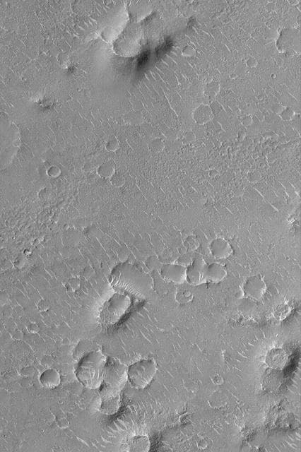 NASA image: Isidis Planitia