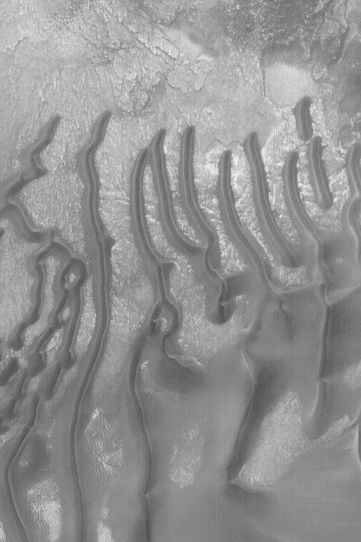 NASA image: Sand Dunes in Noachis Terra
