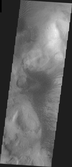 NASA image: Hellas Basin Dunes
