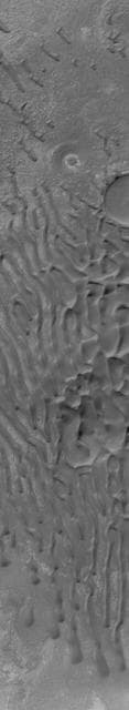 NASA image: Dunes in Noachis Terra