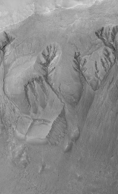 NASA image: Terra Sirenum Gullies