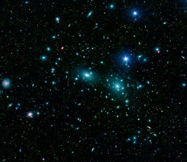 NASA image: Dwarfs in Coma Cluster