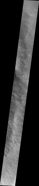 NASA image: Olympus Mons