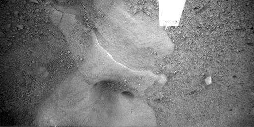 NASA image: Martian Surface Beneath Phoenix Lander