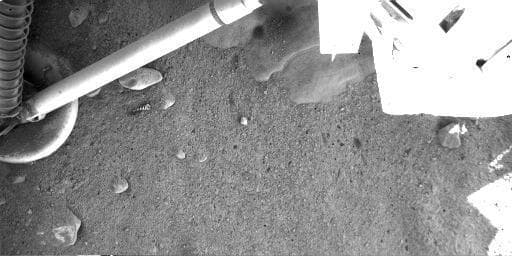 NASA image: Martian Surface Beneath Phoenix
