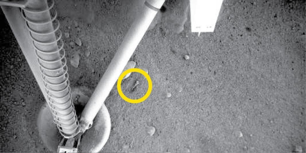 NASA image: Metal Spring near Phoenix Footpad