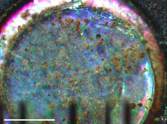 NASA image: Microscopic Image of Martian Surface Material on a Silicone Substrate