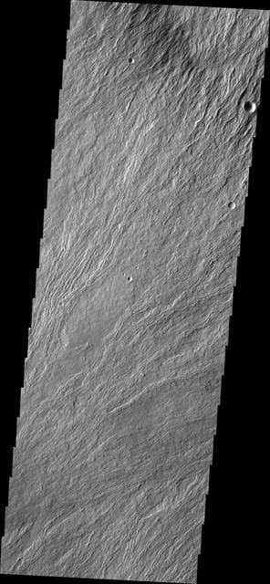 NASA image: Olympus Mons