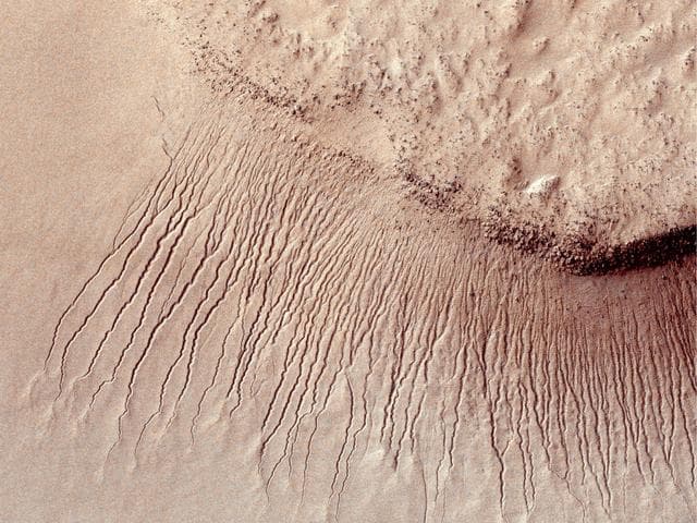 NASA image: True Gullies on Mars