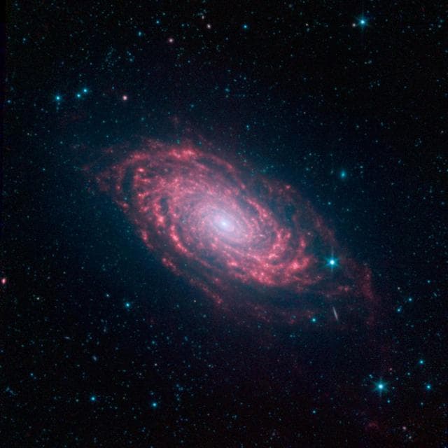 NASA image: Spitzer Sunflower Galaxy