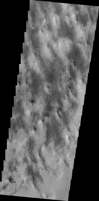NASA image: Dust Devil Tracks