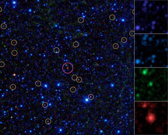 NASA image: Homing in on Hot Dogs