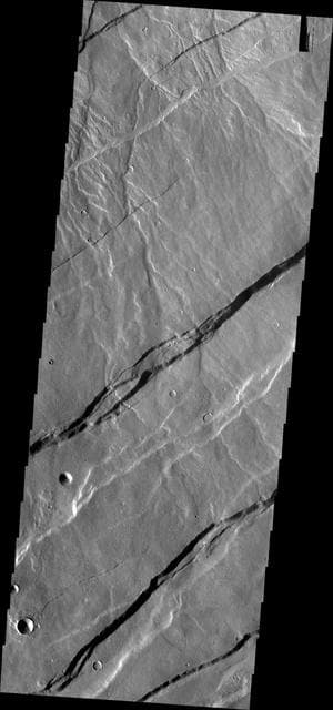 NASA image: Alba Mons Fractures