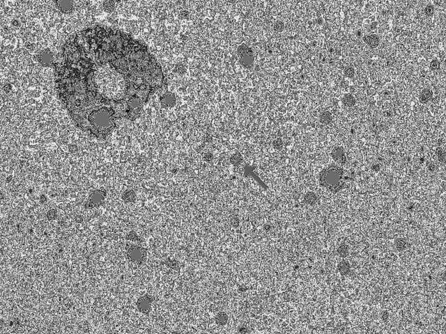 NASA image: New Horizons Collects First Science on a Post-Pluto Object