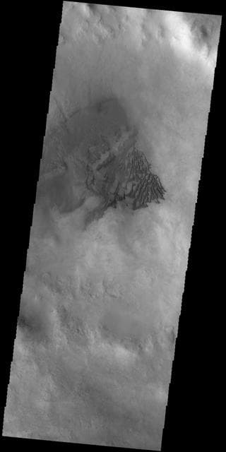 Dunes