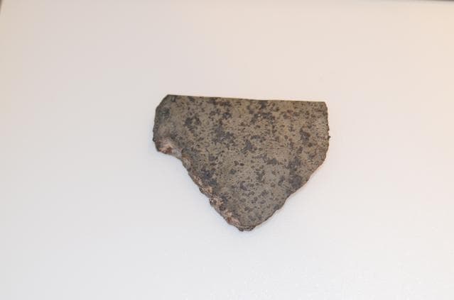 Close-up of a Mars Meteorite