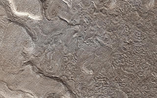 NASA image: Young Lava Flows