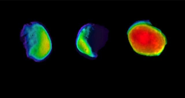 NASA image: Odyssey's Three Views of Phobos