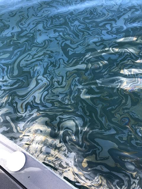 NASA image: Natural Oil Seepage Off California Coast