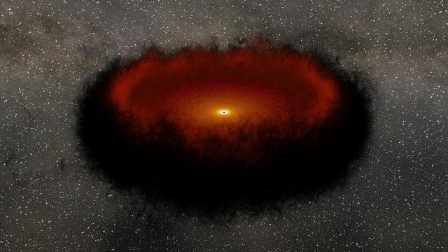 NASA image: Echo Mapping in a Black Hole Accretion Disk and Torus (Animation)