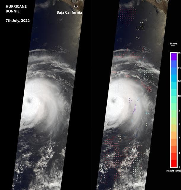 NASA image: NASA's MISR Captures Hurricane Bonnie