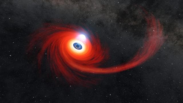NASA image: A Black Hole Destroys a Star (Illustration)