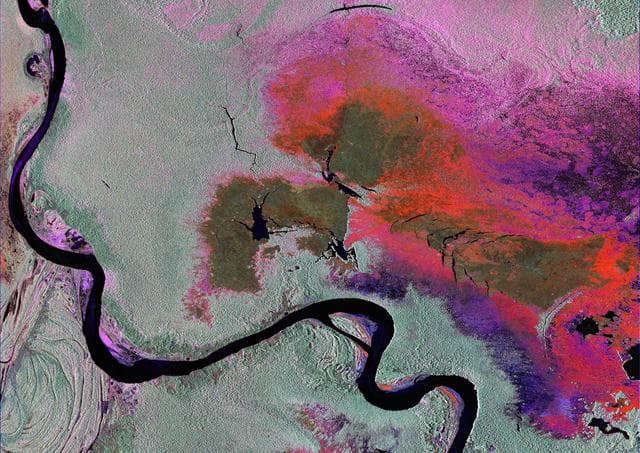 NASA image: Radar Image of Amazonian Flooding Similar to Future NISAR Imagery