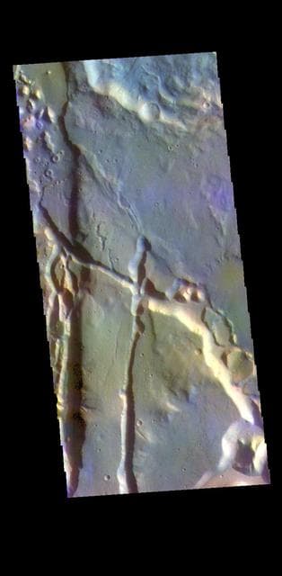 NASA image: Cydonia Mensae - False Color