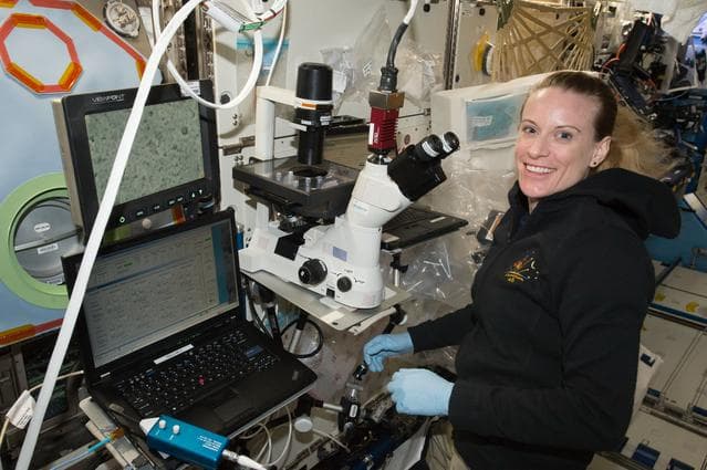 NASA image: Rubins conducts Heart Cells Experiment OPS
