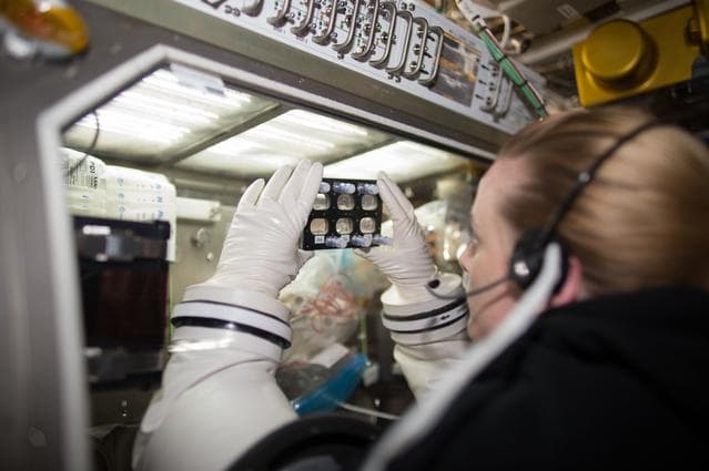 NASA image: Rubins conducts Heart Cells Experiment Media Change
