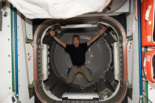 NASA image: iss064e031300