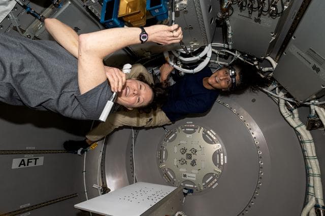 NASA image: NASA astronauts Tracy C. Dyson and Suni Williams