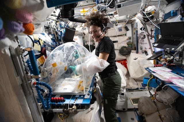 NASA image: NASA astronaut Jessica Meir processes samples of heart stem cells and bacteria 